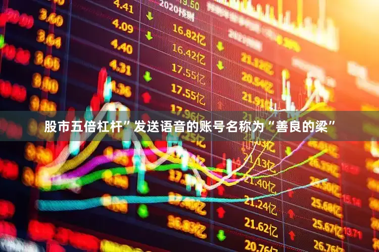 股市五倍杠杆”发送语音的账号名称为“善良的梁”