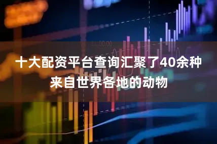 十大配资平台查询汇聚了40余种来自世界各地的动物