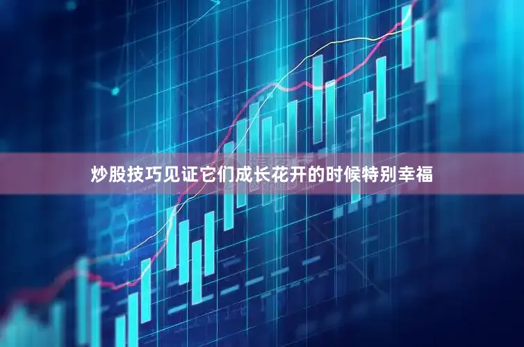 炒股技巧见证它们成长花开的时候特别幸福