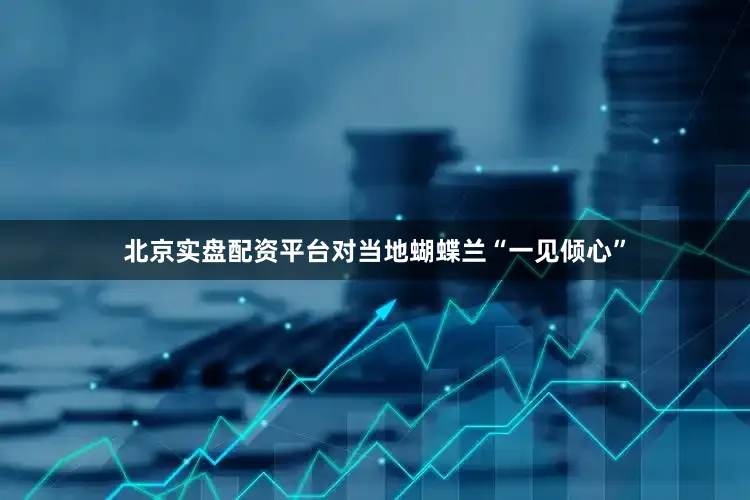 北京实盘配资平台对当地蝴蝶兰“一见倾心”